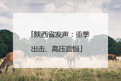 陕西省发声：重拳出击、高压震慑
