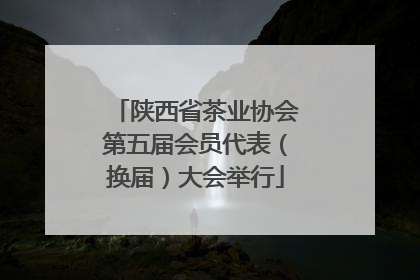陕西省茶业协会第五届会员代表（换届）大会举行