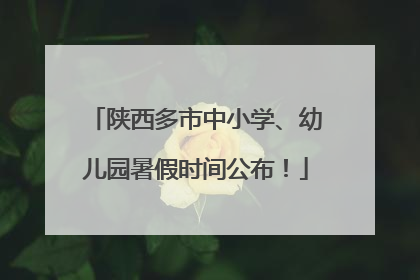 陕西多市中小学、幼儿园暑假时间公布！