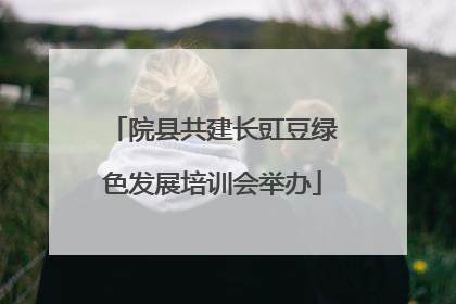 院县共建长豇豆绿色发展培训会举办