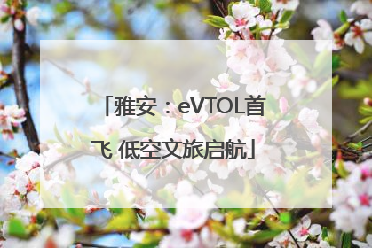 雅安：eVTOL首飞 低空文旅启航