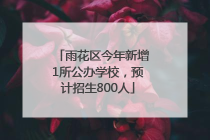 雨花区今年新增1所公办学校，预计招生800人