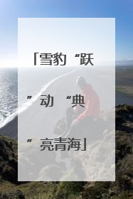 雪豹“跃”动 “典”亮青海