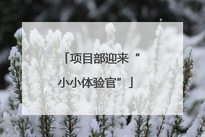 项目部迎来“小小体验官”