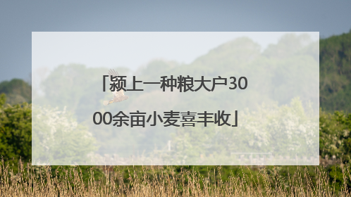 颍上一种粮大户3000余亩小麦喜丰收