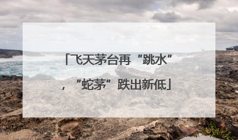 飞天茅台再“跳水”，“蛇茅”跌出新低
