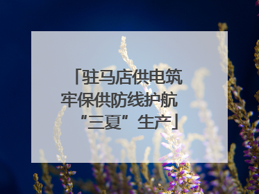 驻马店供电筑牢保供防线护航“三夏”生产