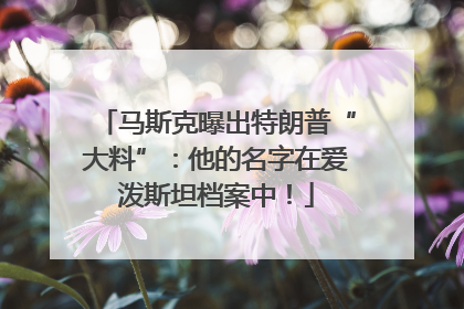 马斯克曝出特朗普“大料”：他的名字在爱泼斯坦档案中！