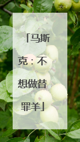 马斯克：不想做替罪羊