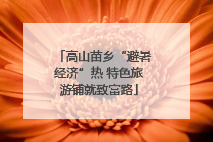 高山苗乡“避暑经济”热 特色旅游铺就致富路