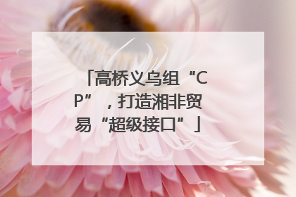 高桥义乌组“CP”，打造湘非贸易“超级接口”