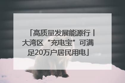 高质量发展能源行丨大湾区“充电宝”可满足20万户居民用电