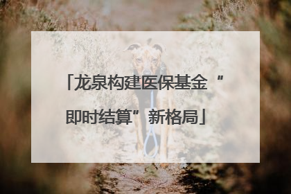 龙泉构建医保基金“即时结算”新格局