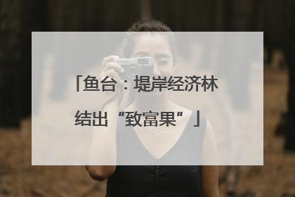 鱼台：堤岸经济林结出“致富果”