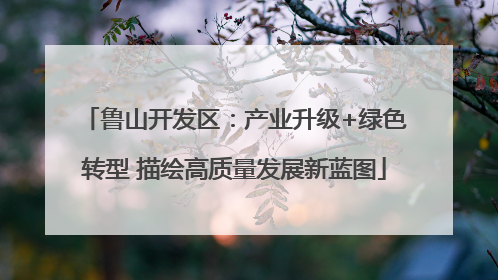 鲁山开发区：产业升级+绿色转型 描绘高质量发展新蓝图