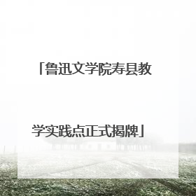 鲁迅文学院寿县教学实践点正式揭牌