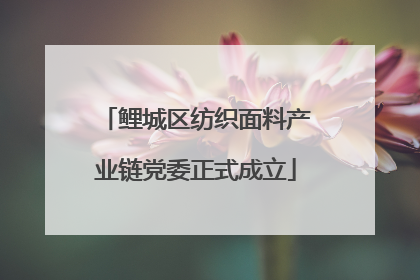 鲤城区纺织面料产业链党委正式成立