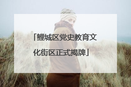 鲤城区党史教育文化街区正式揭牌