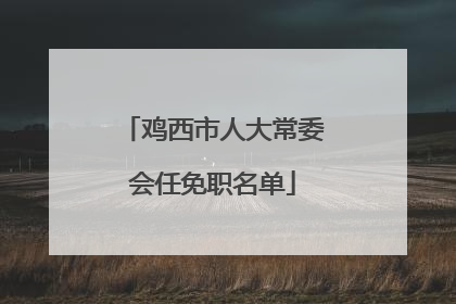 鸡西市人大常委会任免职名单