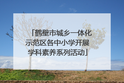 鹤壁市城乡一体化示范区各中小学开展学科素养系列活动