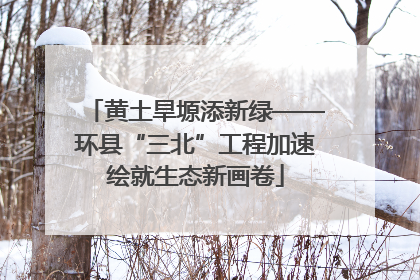 黄土旱塬添新绿——环县“三北”工程加速绘就生态新画卷