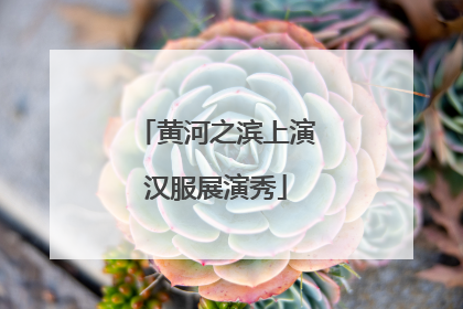 黄河之滨上演汉服展演秀