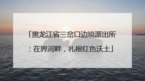 黑龙江省三岔口边境派出所：在界河畔，扎根红色沃土