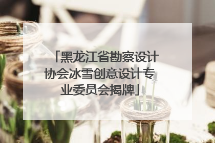 黑龙江省勘察设计协会冰雪创意设计专业委员会揭牌