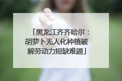 黑龙江齐齐哈尔：胡萝卜无人化种植破解劳动力短缺难题