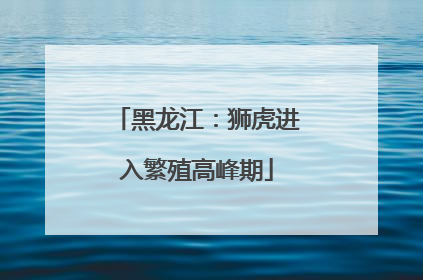 黑龙江：狮虎进入繁殖高峰期