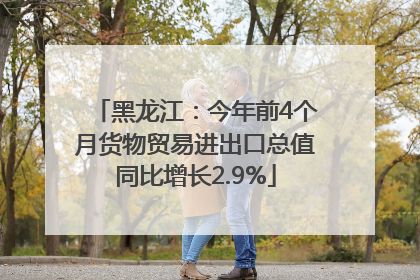 黑龙江：今年前4个月货物贸易进出口总值同比增长2.9%
