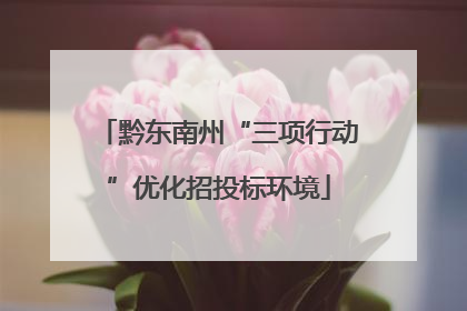 黔东南州“三项行动”优化招投标环境