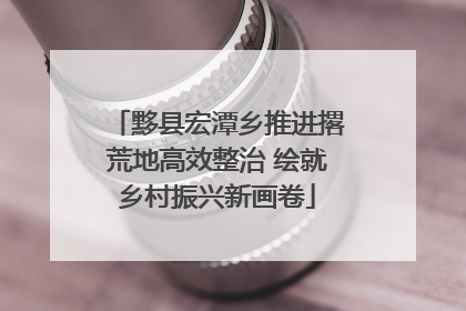 黟县宏潭乡推进撂荒地高效整治 绘就乡村振兴新画卷