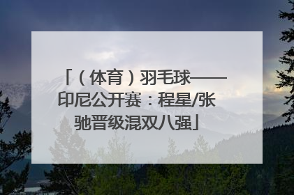 （体育）羽毛球——印尼公开赛：程星/张驰晋级混双八强