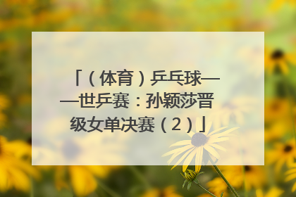 （体育）乒乓球——世乒赛：孙颖莎晋级女单决赛（2）