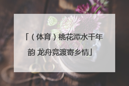 （体育）桃花潭水千年韵 龙舟竞渡寄乡情