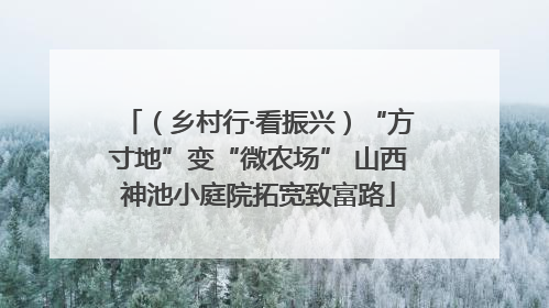 （乡村行·看振兴）“方寸地”变“微农场” 山西神池小庭院拓宽致富路