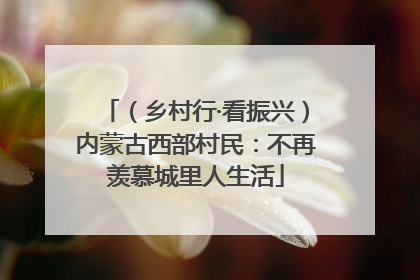 （乡村行·看振兴）内蒙古西部村民：不再羡慕城里人生活