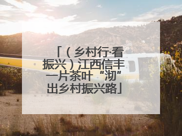 （乡村行·看振兴）江西信丰一片茶叶“沏”出乡村振兴路