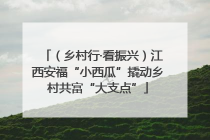 （乡村行·看振兴）江西安福“小西瓜”撬动乡村共富“大支点”