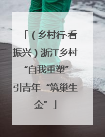 （乡村行·看振兴）浙江乡村“自我重塑” 引青年“筑巢生金”