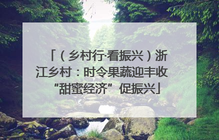 （乡村行·看振兴）浙江乡村：时令果蔬迎丰收 “甜蜜经济”促振兴