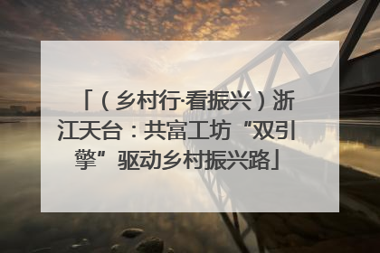 （乡村行·看振兴）浙江天台：共富工坊“双引擎”驱动乡村振兴路
