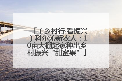 （乡村行·看振兴）科尔沁新农人：10亩大棚起家种出乡村振兴“甜蜜果”