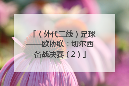 （外代二线）足球——欧协联：切尔西备战决赛（2）