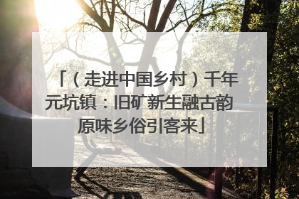 （走进中国乡村）千年元坑镇：旧矿新生融古韵 原味乡俗引客来