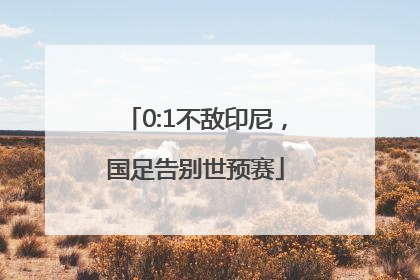 0:1不敌印尼，国足告别世预赛