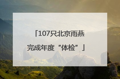 107只北京雨燕完成年度“体检”