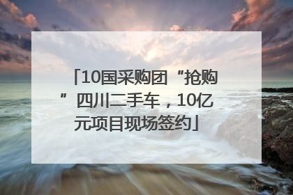10国采购团“抢购”四川二手车，10亿元项目现场签约