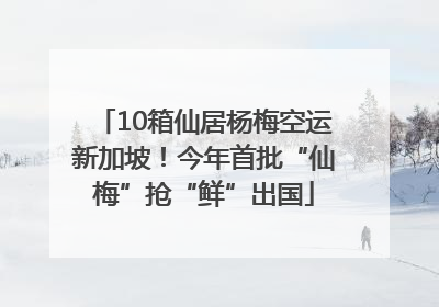 10箱仙居杨梅空运新加坡！今年首批“仙梅”抢“鲜”出国